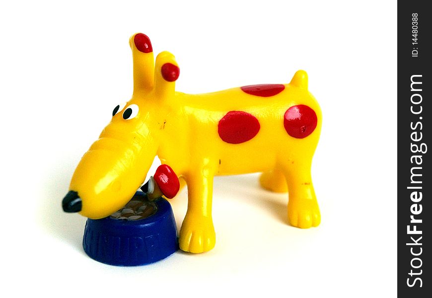 Yellow dog  with food islolated on white background