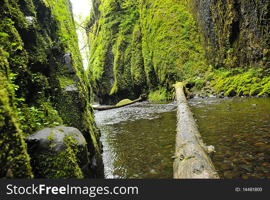 Oneonta River in Spring along the Gorge in Oregon. Oneonta River in Spring along the Gorge in Oregon