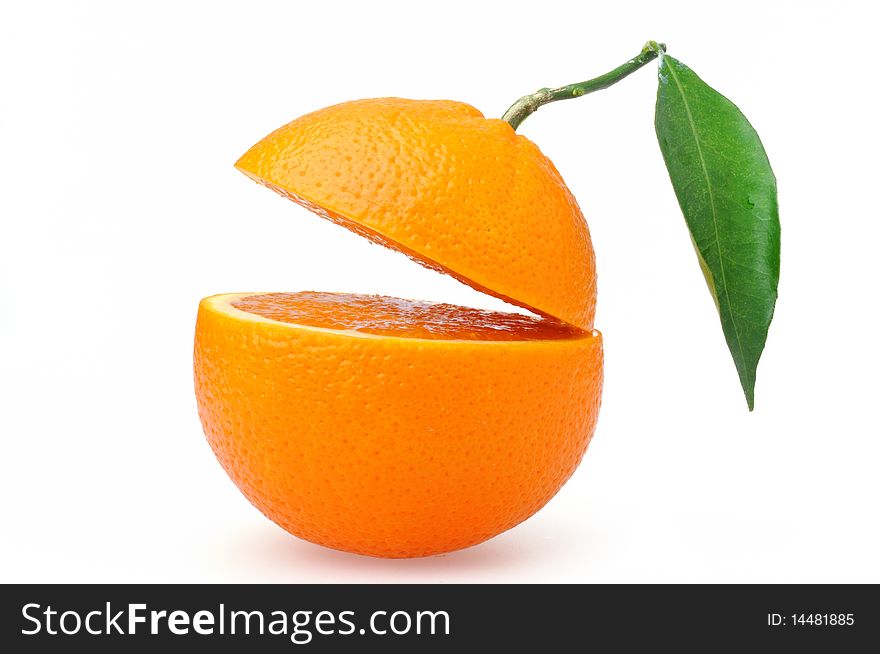 Sliced oranges with a leaf on a branch