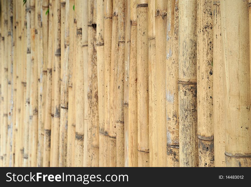 Thai Bamboo Background