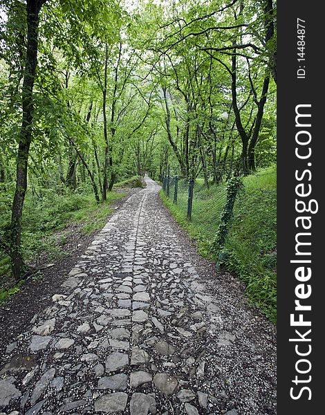 Stone path in the woods. Stone path in the woods