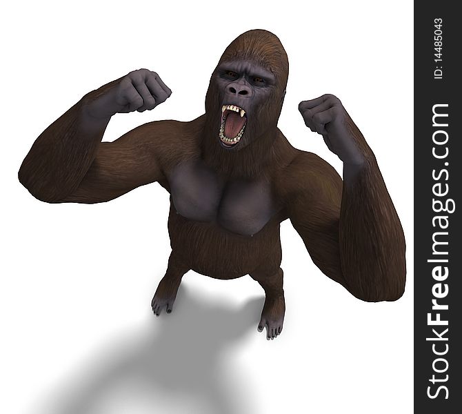 Gorilla roaring. 3D rendering with clipping path and shadow over white