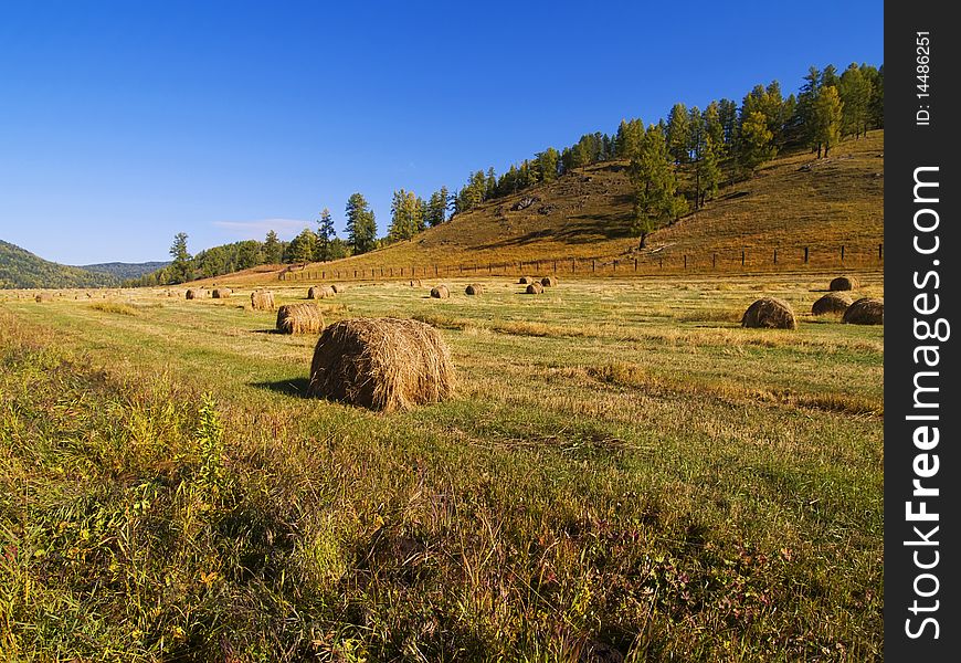 Haystacks in the mountains autumn