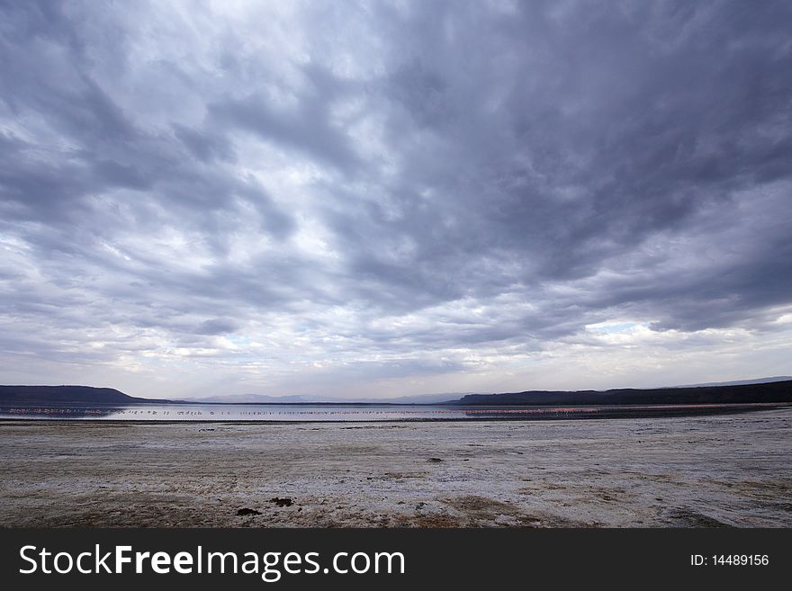 Landscape in the nature reserve with pink Lesser Flamingos on the lake on a beautiful overcast day in South Africa