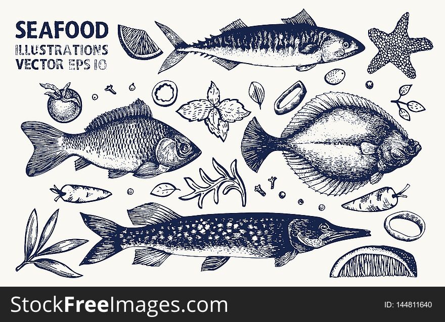 Fishes and spices vector set. Vintage hand drawn seafood illustrations. Can be use for restaurants menu, cover, packaging. Retro