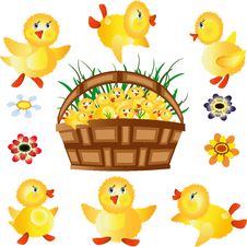 Ducklings Icons Royalty Free Stock Images Ducklings Icons Royalty Free Stock Images