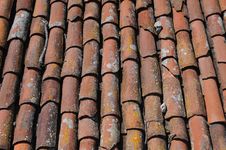 Red Tiled Roof Stock Image