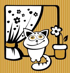 Happy Cat Stock Photos Happy Cat Stock Photos