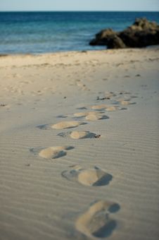 Foot Prints Stock Photos Foot Prints Stock Photos