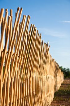 Bamboo Fence Stock Images Bamboo Fence Stock Images