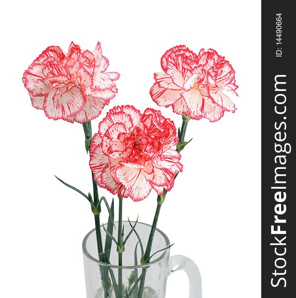 Bouquet of three carnations isolated on white