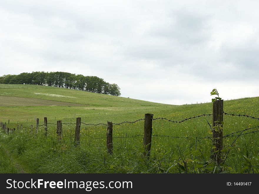 Country lane in front of green hills in spring