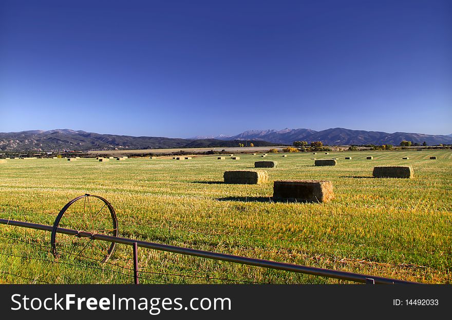 Hay Bales In The Field