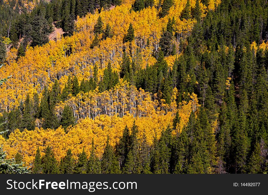 Autumn landscape in Colorado San Juan mountains