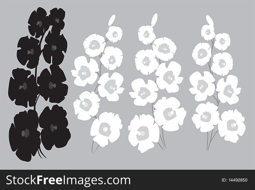 Hollyhocks In Shades Of Grey