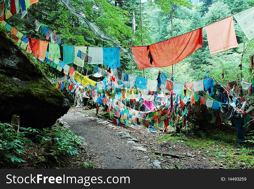 Colorful prayer flags in shangrila