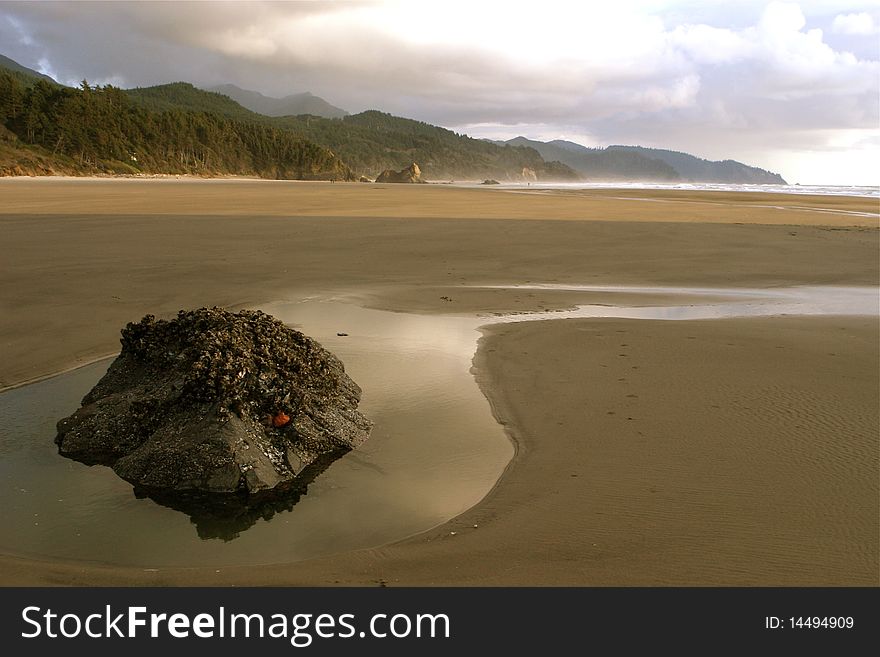 Summer deserted beach with clean sand and lone rock.