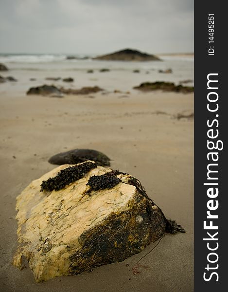 Rock formation in the sand on sea shore with copy space. Rock formation in the sand on sea shore with copy space.