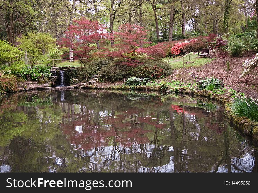 Reflections in a lake in Spring