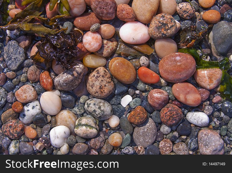 Tide Pool Beach Pebbles