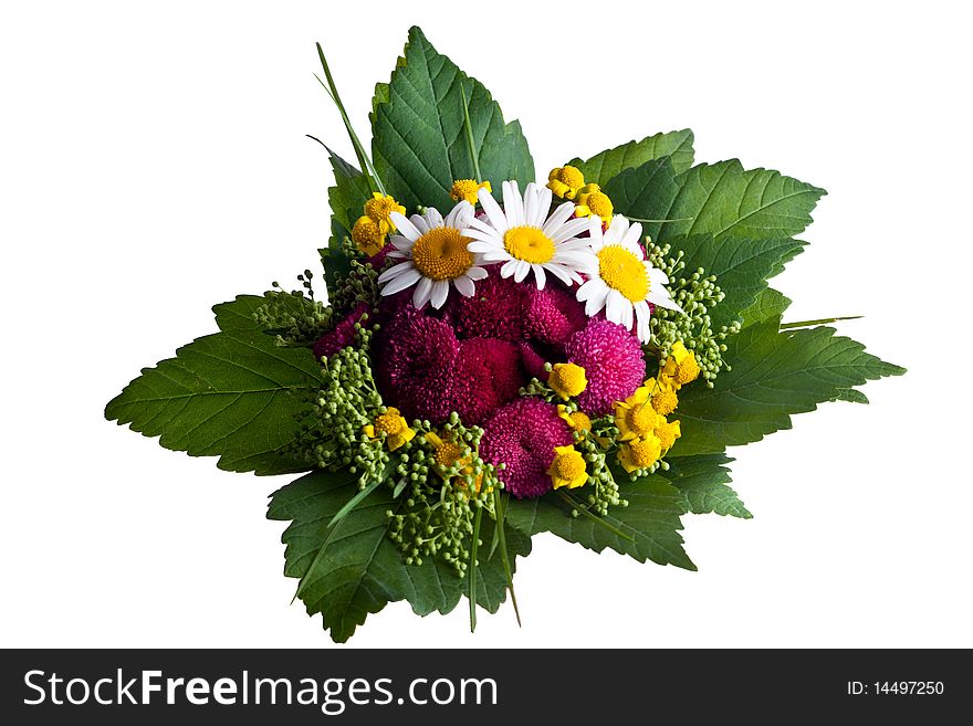 Bunch of Summer Wildflowers isolated on white background