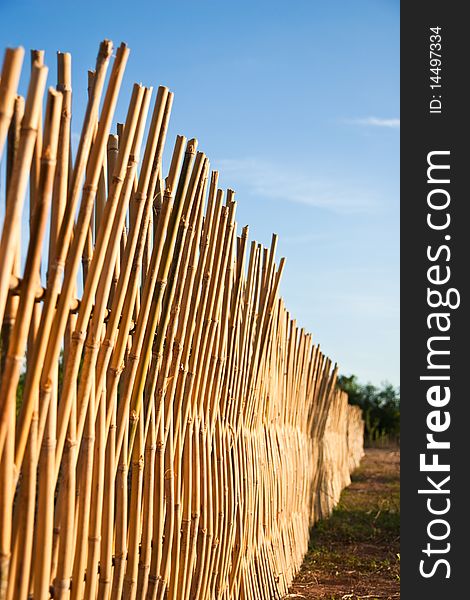 Bamboo fencing of vegetable plantations. Bamboo fencing of vegetable plantations.