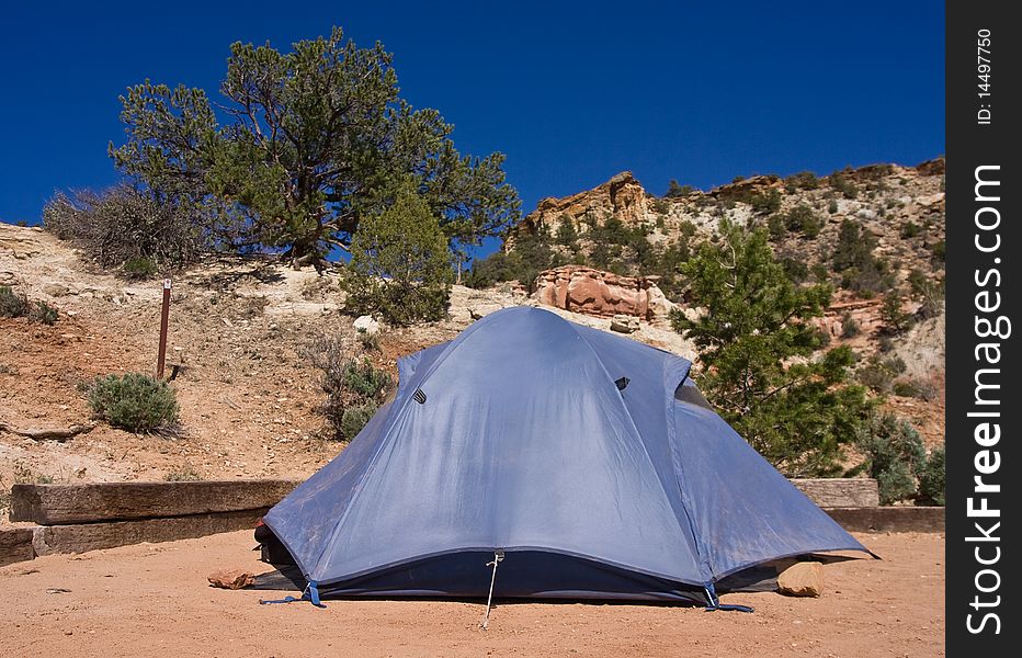 Camping area in Petrofied Forest State Park in Utah. Camping area in Petrofied Forest State Park in Utah