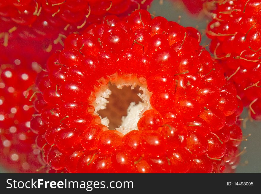 Mock-strawberry