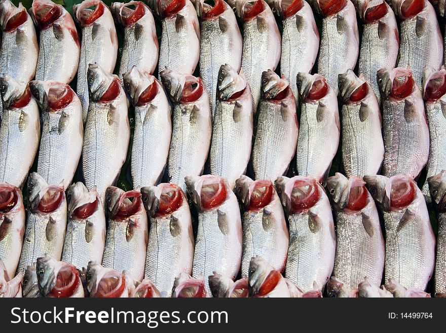 Raw Fish Background