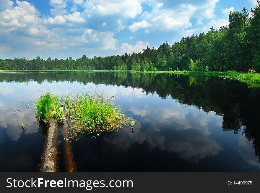 Lake in the forest with a tiny island, sunny day