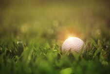 Golf Ball Is On A Green Lawn In A Beautiful Golf Course Royalty Free Stock Image