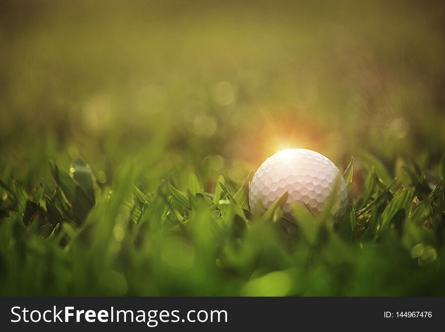 Golf ball is on a green lawn in a beautiful golf course with morning sunshine.Ready for golf in the first short.Sports that people around the world play during the holidays for health