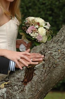 Hands, Rings And Bouquet Stock Photography Hands, Rings And Bouquet Stock Photography