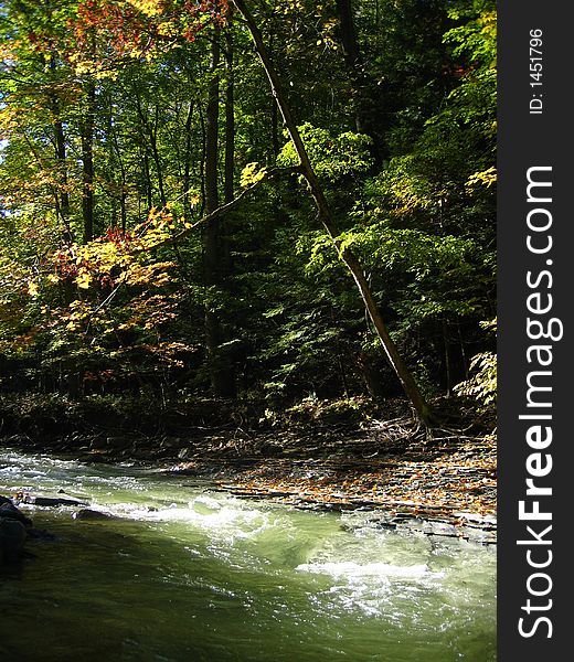 Chautauqua Creek in Westfield, NY, USA