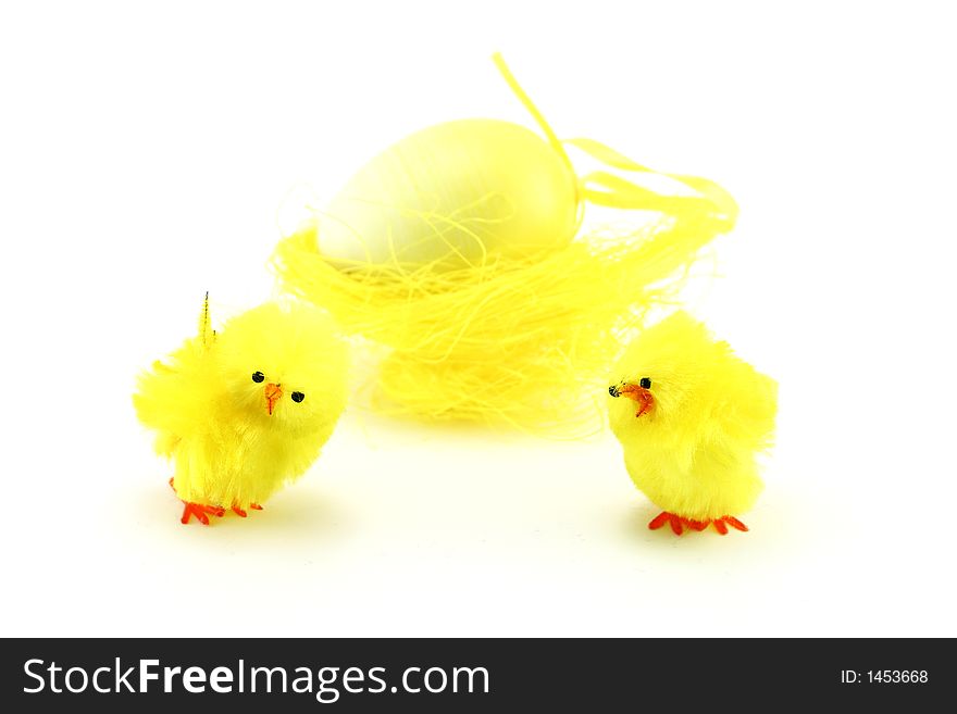 Chickens guarding an egg isolated. Chickens guarding an egg isolated