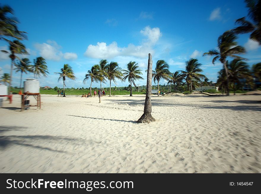 Broken palm tree on tropical beach, Cuba
Santa Maria del Mar, Playa del Este. Broken palm tree on tropical beach, Cuba
Santa Maria del Mar, Playa del Este