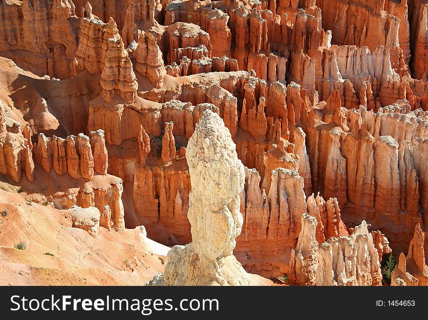 Unique Rock Formations At Bryce Canyon