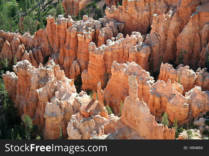 Bryce Canyon Close Up View