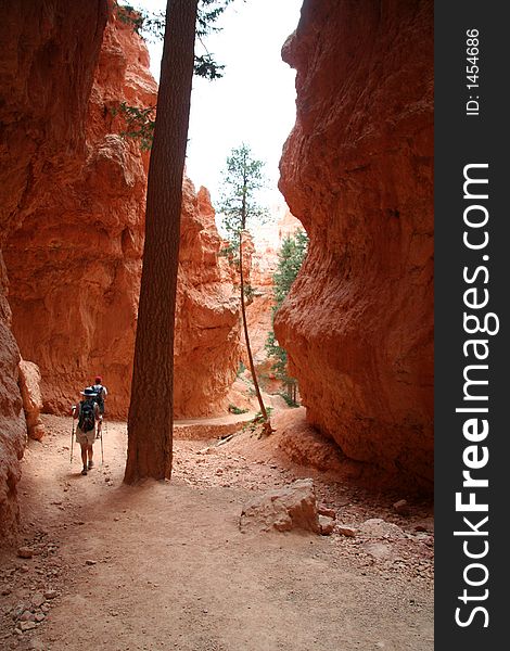 Hikers on Desert Trail