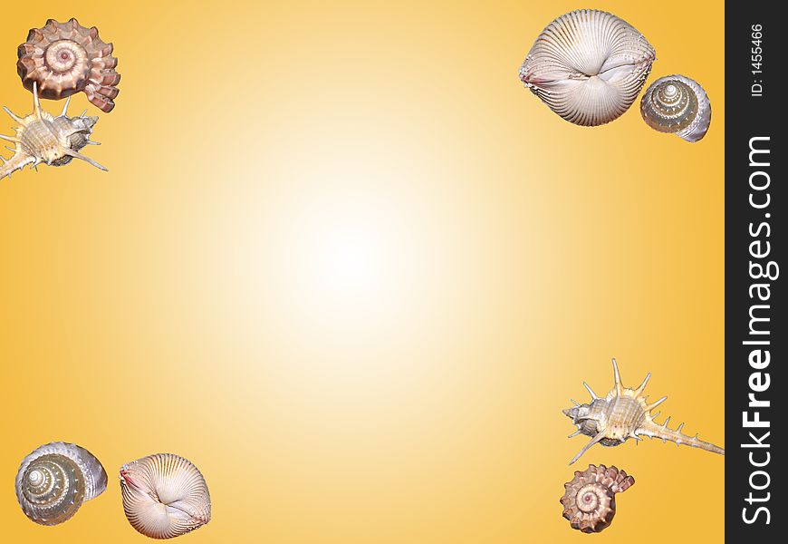 Border with various sea shells. Border with various sea shells