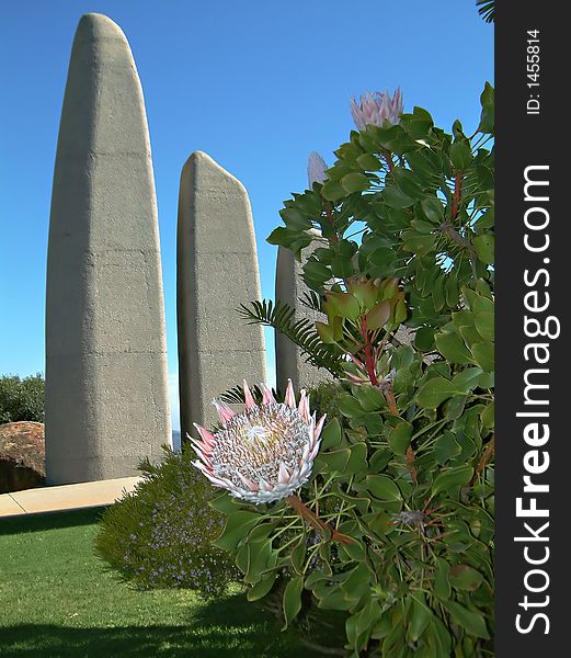 Protea and statues in South Africa