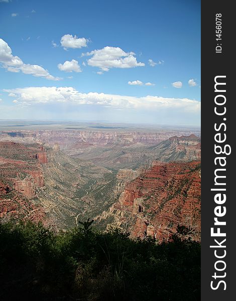 Grand Canyon Overlook with Trees