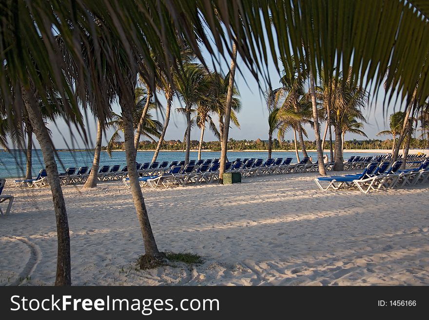 Mexico On The Beach Early Morning