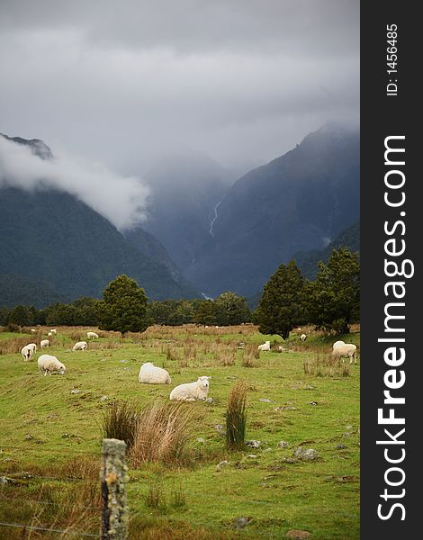 Sheeps farm with background of amazing Valley located in New Zealand, foggy and mysterious. Sheeps farm with background of amazing Valley located in New Zealand, foggy and mysterious