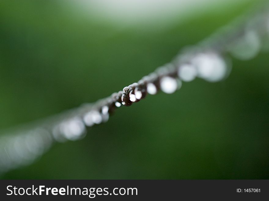 Dew drops on a clothes wire.