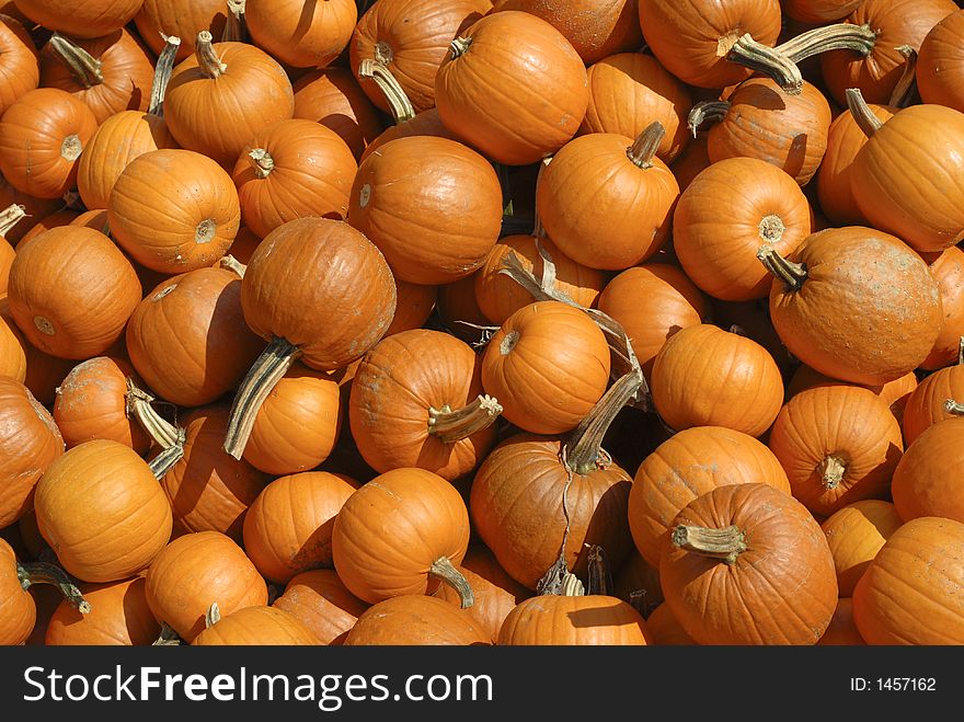 Baby Pumpkins