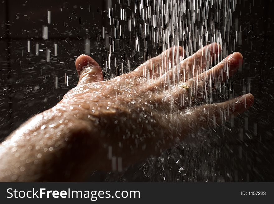 A woman's hand under the shower waterflow. A woman's hand under the shower waterflow.