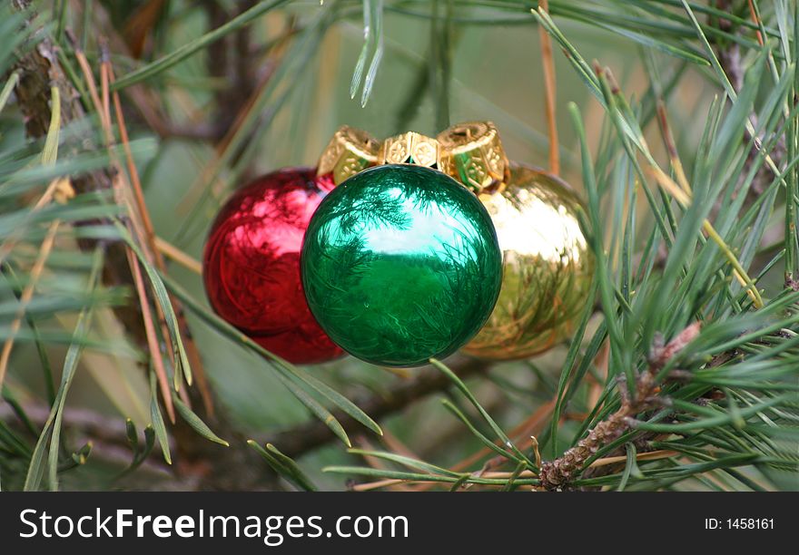 Christmas bulbs in the tree