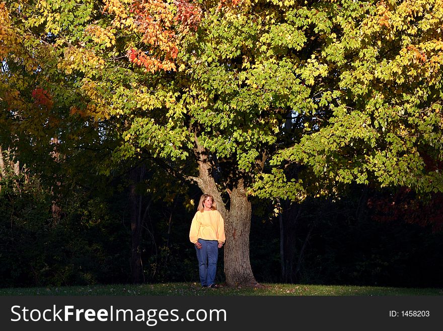 Woman leaning up against fall tree. Woman leaning up against fall tree