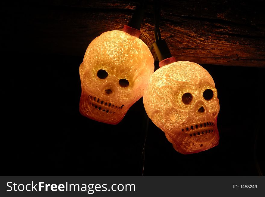Haloween Skulls used for decoration
